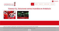 Desktop Screenshot of coexsur.com
